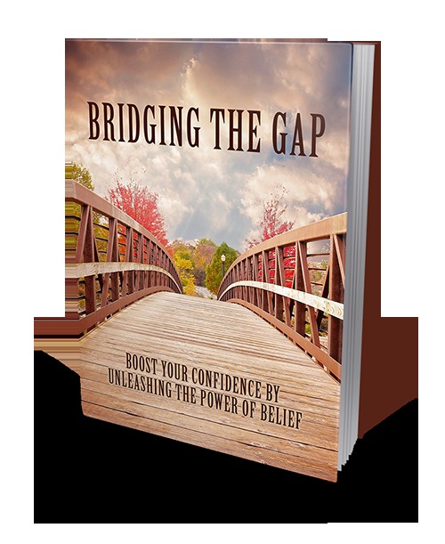 Product picture Bridging the gap